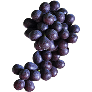 Black Seedless Table Grapes