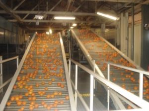 UNADJUSTEDNONRAW_thumb_16e0