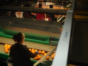 UNADJUSTEDNONRAW_thumb_16e4