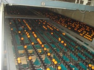 UNADJUSTEDNONRAW_thumb_16e5